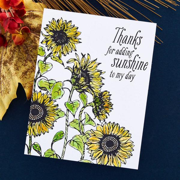Spellbinders - Buchdrucktechnik "Sunflower Field" Press Plate