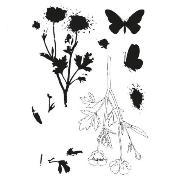 Sizzix - Stanzschablone & Stempelset "Painted Pencil Botanical" Framelits Craft Dies & Clear Stamps by 49 and Market