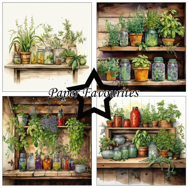 Paper Favourites - Designpapier "Herbs" Paper Pack 6x6 Inch - 24 Bogen