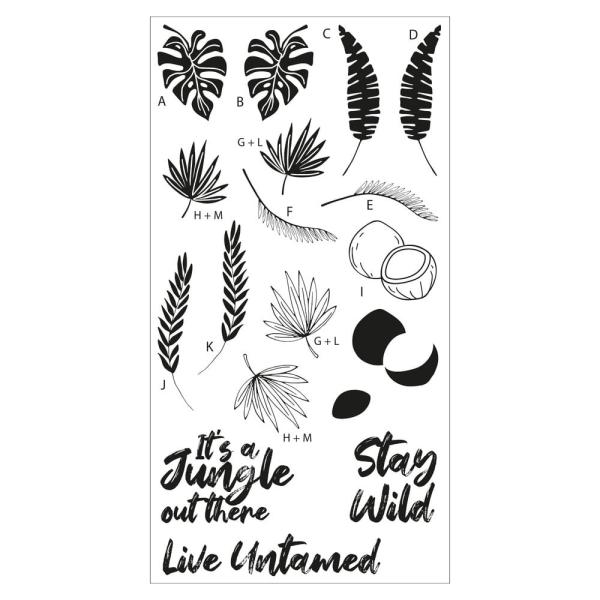Sizzix - Stempelset "Stay Wild" Clear Stamps Design by Catherine Pooler