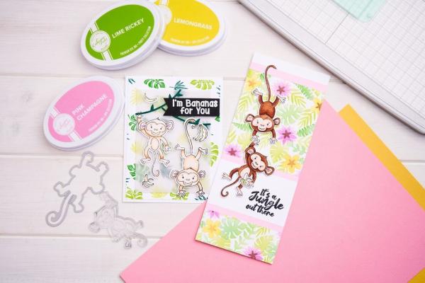 Sizzix - Stempelset "Stay Wild" Clear Stamps Design by Catherine Pooler