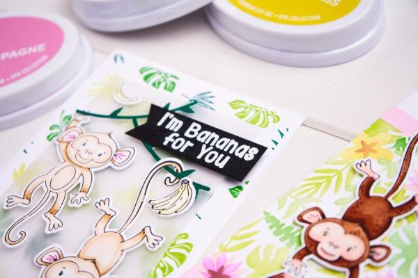 Sizzix - Stempelset "Stay Wild" Clear Stamps Design by Catherine Pooler