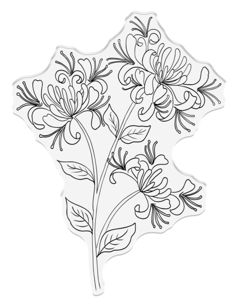 Crafters Companion - Stempel "Honeysuckle Flower" Clear Stamps