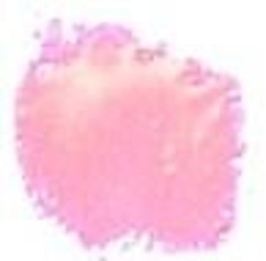 Cosmic Shimmer - Embossingpulver "Tropic Pink" Blaze Embossing Powder 20ml