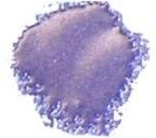 Cosmic Shimmer - Embossingpulver "Viola Lavender" Blaze Embossing Powder 20ml