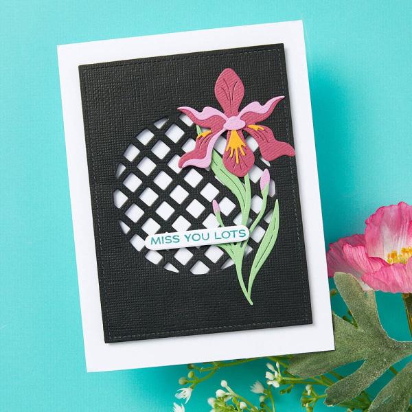 Spellbinders - Stanzschablone "Stitched Edge Circle Backgrounds" Dies