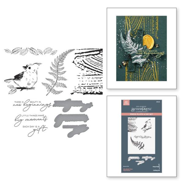 Spellbinders - Buchdrucktechnik "Woodland Tales Impressions" BetterPress Plate & Dies