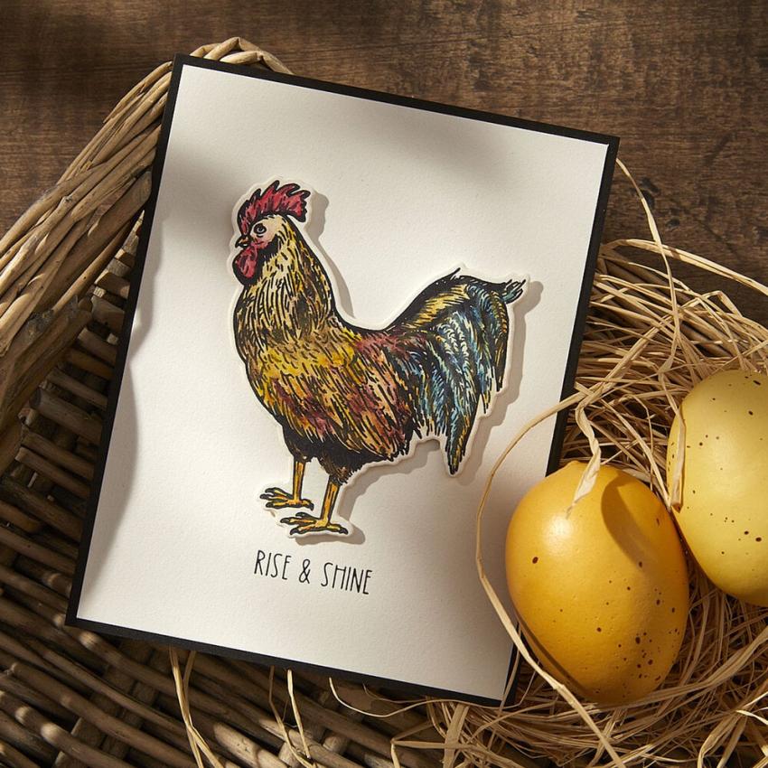 Spellbinders - Buchdrucktechnik "Feathered Friends" BetterPress Plate & Dies