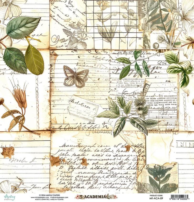 Mintay Papers - Papier Elemente "Academia" Paper Elements 12x12 Inch