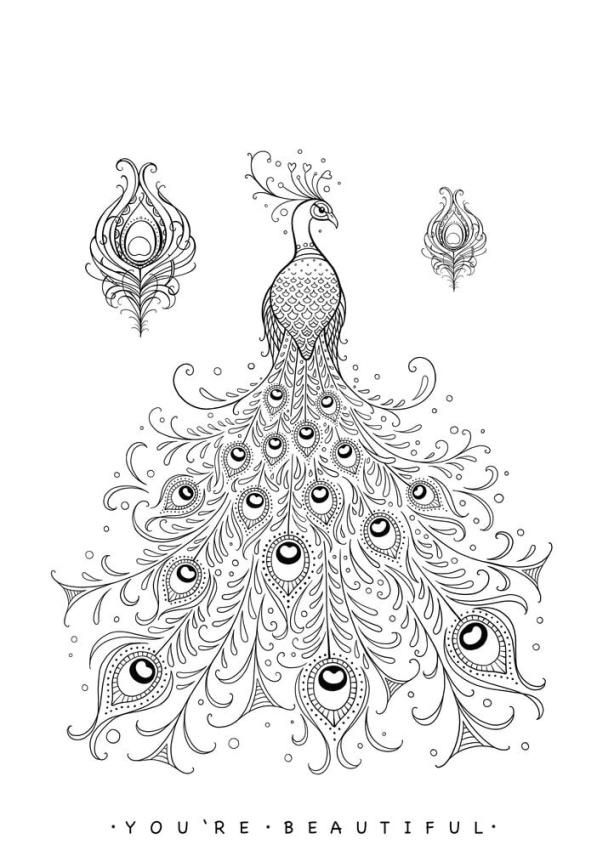 Katkin Krafts - Stempelset "Picturesque Peacock" Clear Stamps