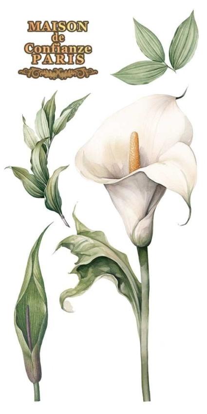 Papers For you - Transfer Aufkleber "Calla Lily" Decor Transfers 6x12 Inch