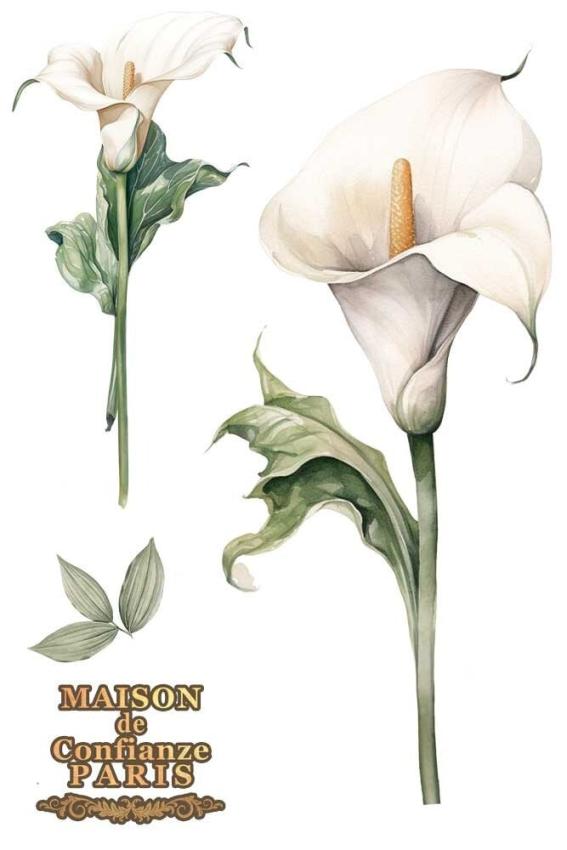Papers For you - Transfer Aufkleber "Calla Lily" Decor Transfers 8x12 Inch