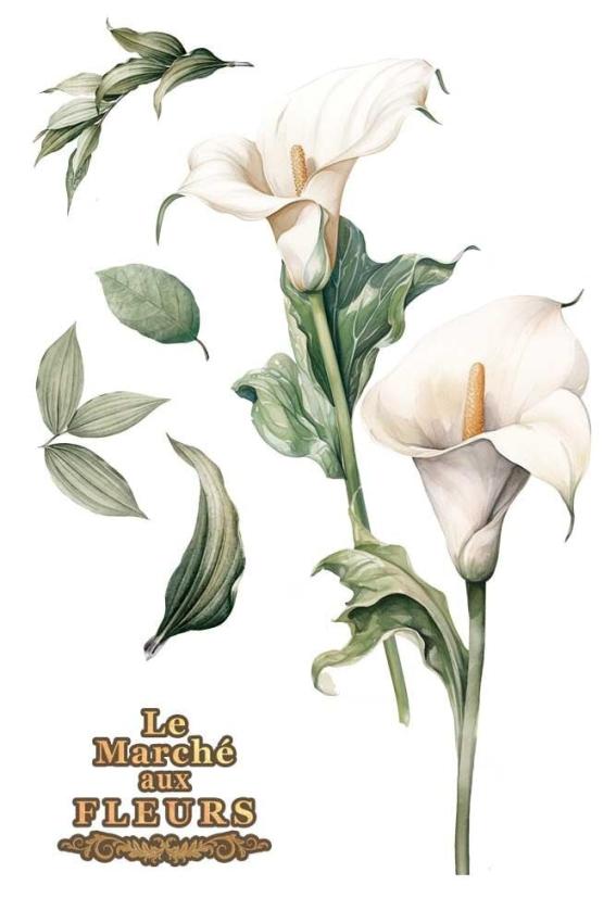 Papers For you - Transfer Aufkleber "Calla Lily" Decor Transfers 8x12 Inch