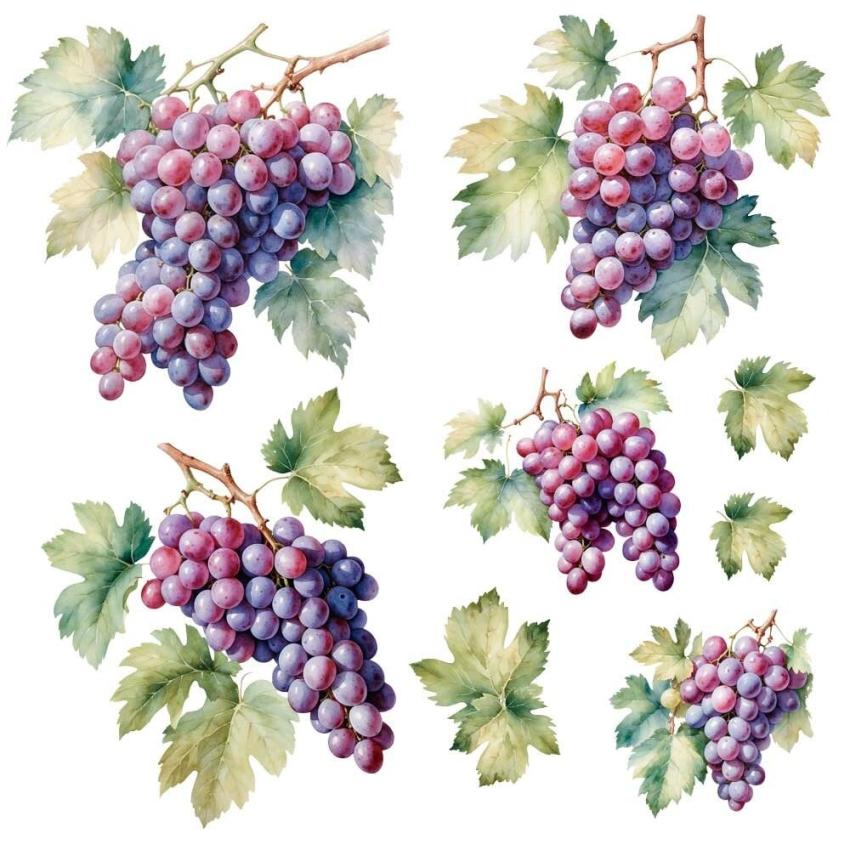 Papers For you - Transfer Aufkleber "Grapes" Decor Transfers 12x12 Inch