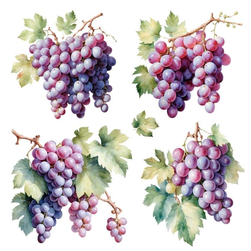 Papers For you - Transfer Aufkleber "Grapes" Decor Transfers 12x12 Inch