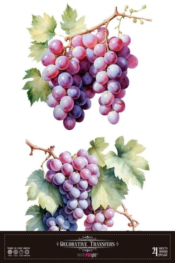 Papers For you - Transfer Aufkleber "Grapes" Decor Transfers 24x35 Inch