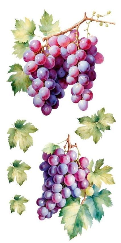 Papers For you - Transfer Aufkleber "Grapes" Decor Transfers 6x12 Inch