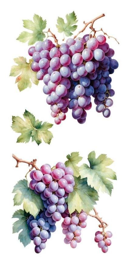Papers For you - Transfer Aufkleber "Grapes" Decor Transfers 6x12 Inch