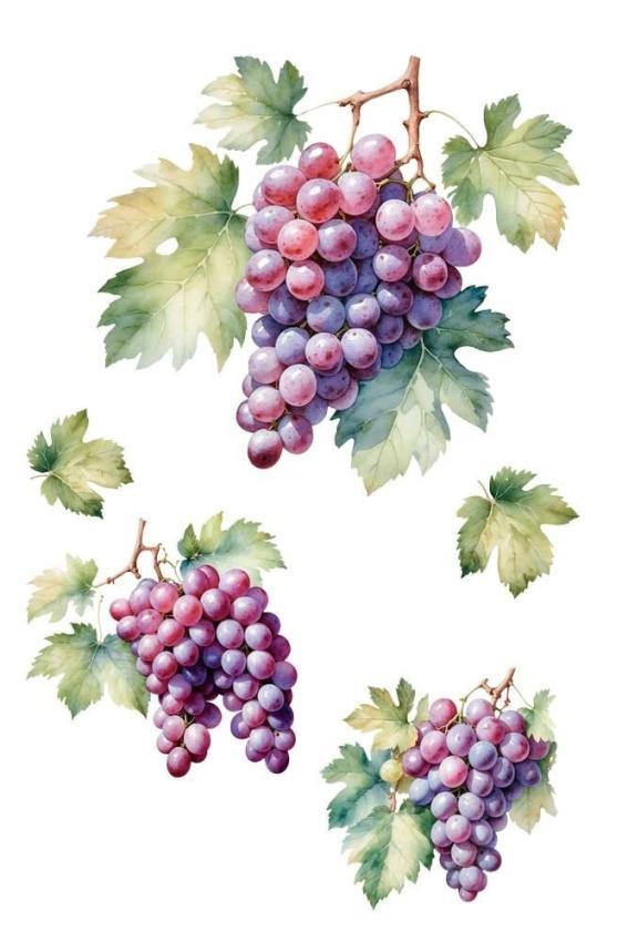 Papers For you - Transfer Aufkleber "Grapes" Decor Transfers 8x12 Inch