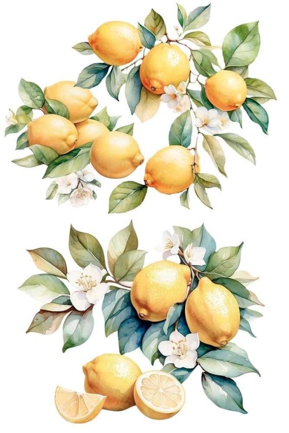 Papers For you - Transfer Aufkleber "Lemon" Decor Transfers 24x35 Inch