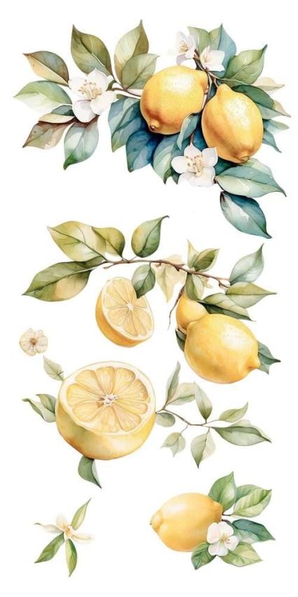 Papers For you - Transfer Aufkleber "Lemon" Decor Transfers 6x12 Inch