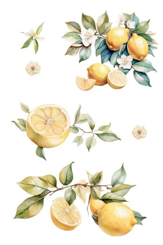Papers For you - Transfer Aufkleber "Lemon" Decor Transfers 8x12 Inch