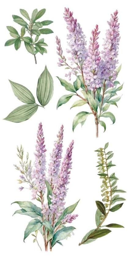 Papers For you - Transfer Aufkleber "Lilacs" Decor Transfers 6x12 Inch