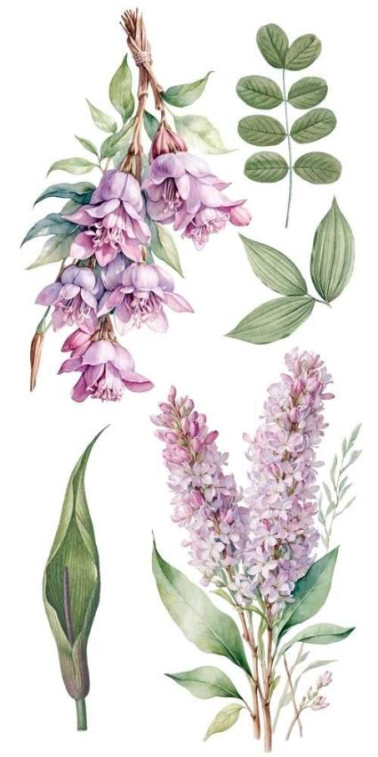 Papers For you - Transfer Aufkleber "Lilacs" Decor Transfers 6x12 Inch