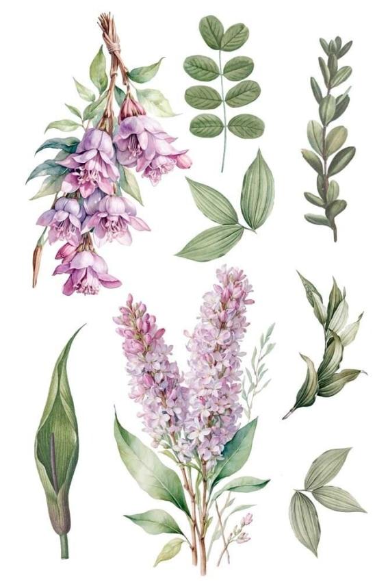 Papers For you - Transfer Aufkleber "Lilacs" Decor Transfers 8x12 Inch