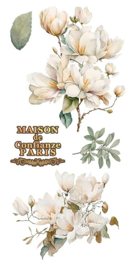 Papers For you - Transfer Aufkleber "Magnolias" Decor Transfers 6x12 Inch