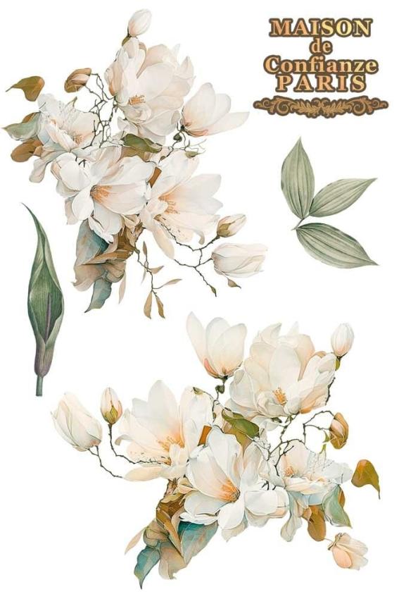 Papers For you - Transfer Aufkleber "Magnolias" Decor Transfers 8x12 Inch