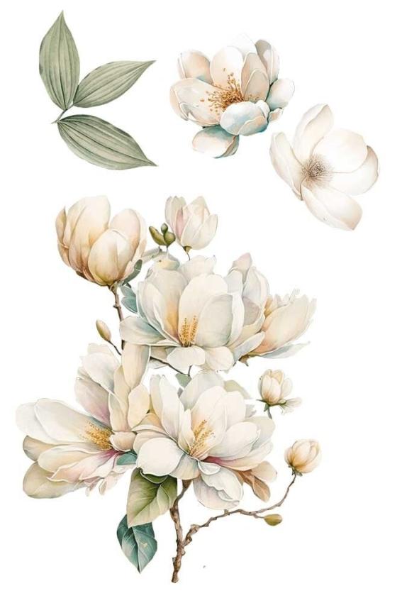 Papers For you - Transfer Aufkleber "Magnolias" Decor Transfers 8x12 Inch
