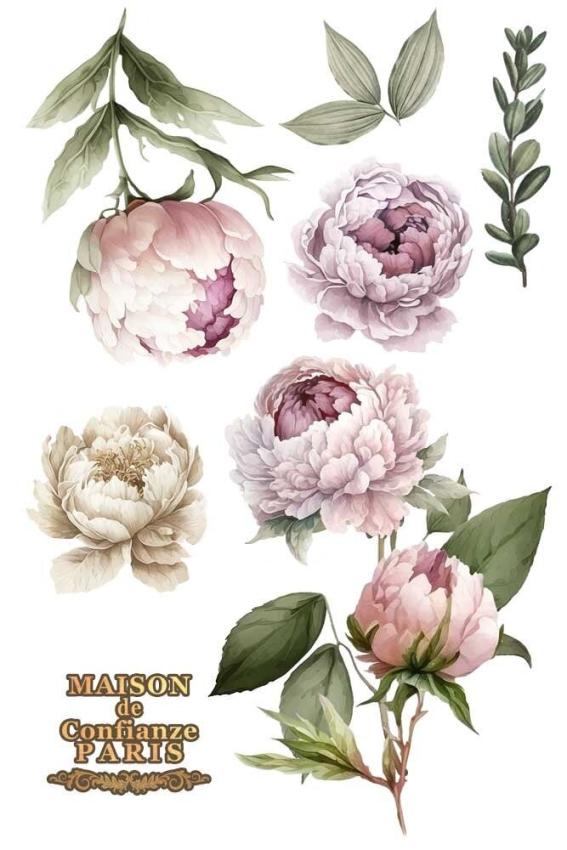 Papers For you - Transfer Aufkleber "Peonies" Decor Transfers 8x12 Inch