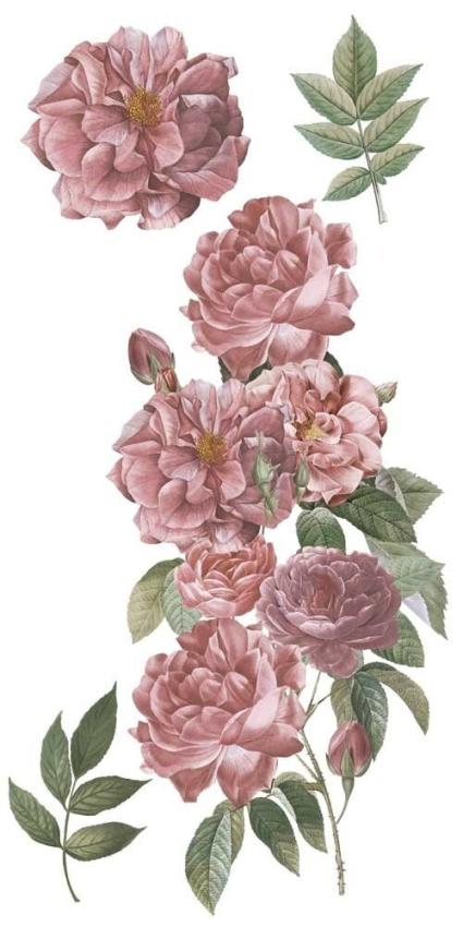 Papers For you - Transfer Aufkleber "Roses" Decor Transfers 6x12 Inch