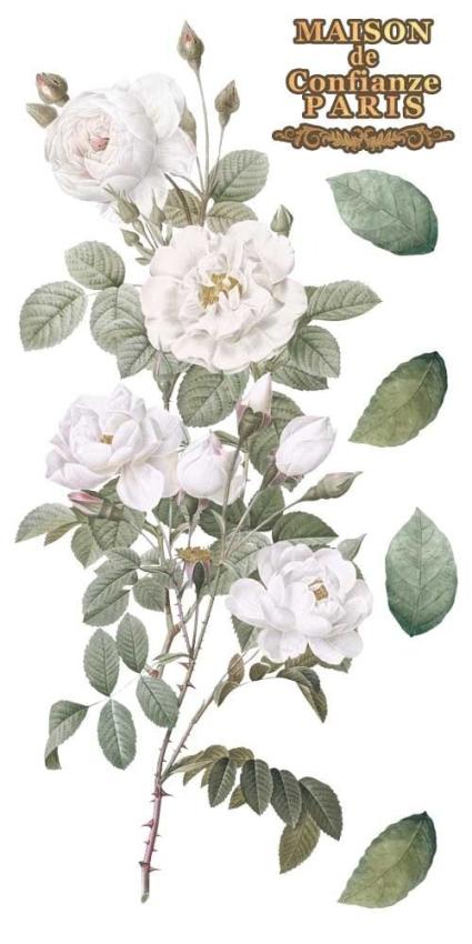 Papers For you - Transfer Aufkleber "Roses" Decor Transfers 6x12 Inch