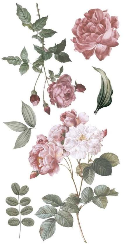 Papers For you - Transfer Aufkleber "Roses" Decor Transfers 6x12 Inch