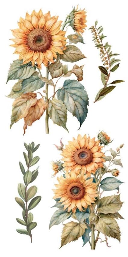 Papers For you - Transfer Aufkleber "Sunflowers" Decor Transfers 6x12 Inch
