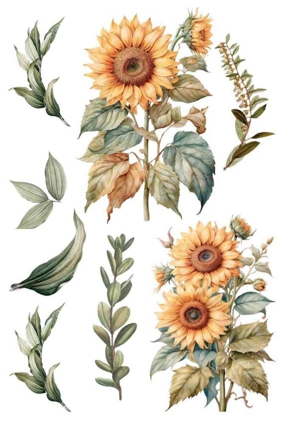 Papers For you - Transfer Aufkleber "Sunflowers" Decor Transfers 8x12 Inch