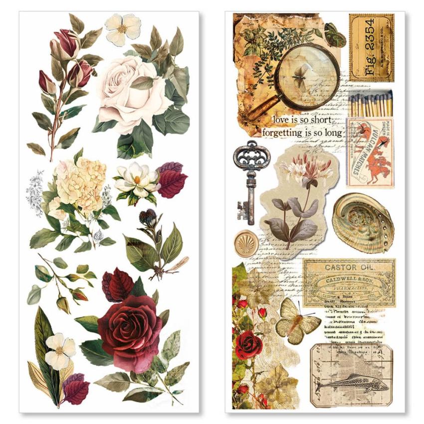 Ciao Bella - Aufkleber "Cabinet of Curiosities" Transparent Adhesive Sheets 4,72x10,23 Inch - 5 Bogen