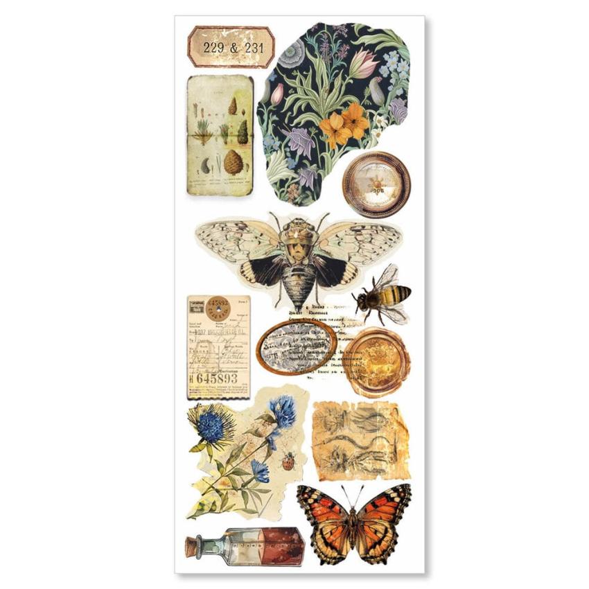 Ciao Bella - Aufkleber "Cabinet of Curiosities" Transparent Adhesive Sheets 4,72x10,23 Inch - 5 Bogen