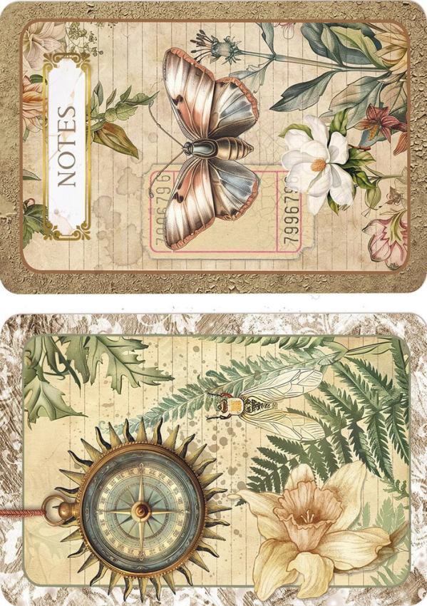 Ciao Bella - Decopatch Papier "Cabinet of Curiosities" Rice Paper A5 - 8 Bogen
