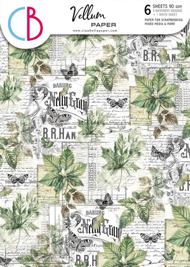 Ciao Bella - Pergamentpapier "Cabinet of Curiosities" Vellum A4 - 6 Bogen