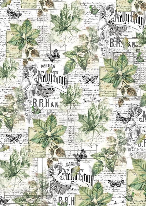 Ciao Bella - Pergamentpapier "Cabinet of Curiosities" Vellum A4 - 6 Bogen