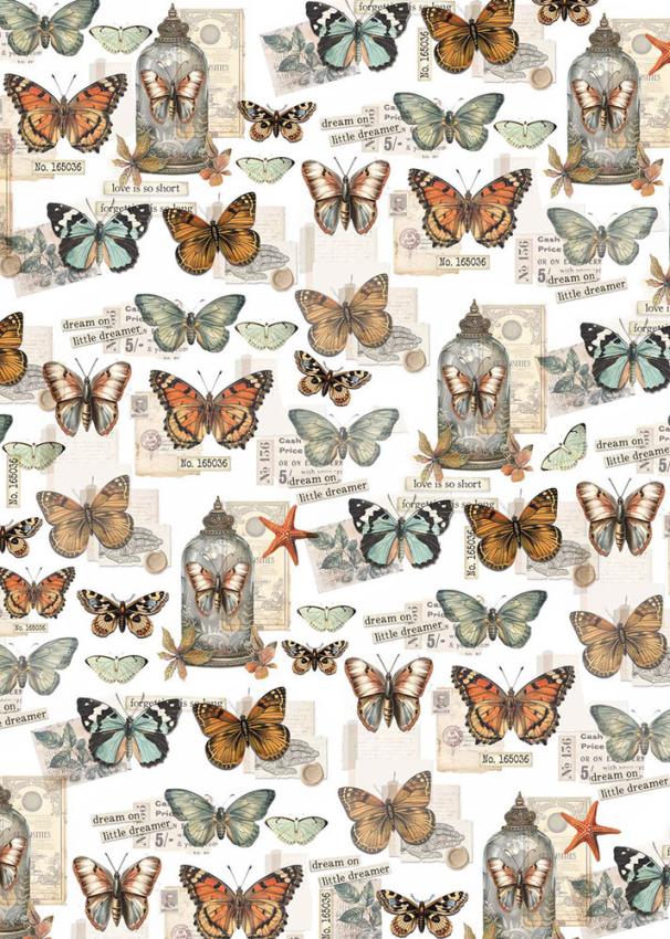 Ciao Bella - Pergamentpapier "Cabinet of Curiosities" Vellum A4 - 6 Bogen