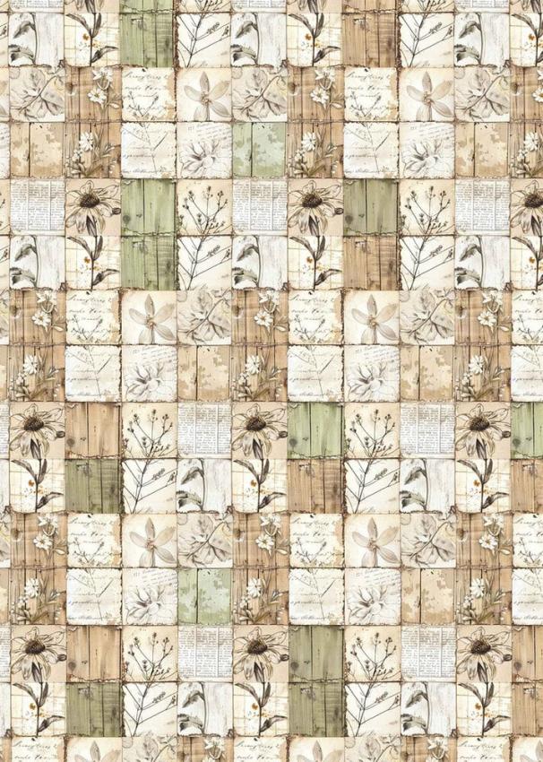 Ciao Bella - Pergamentpapier "Cabinet of Curiosities" Vellum A4 - 6 Bogen