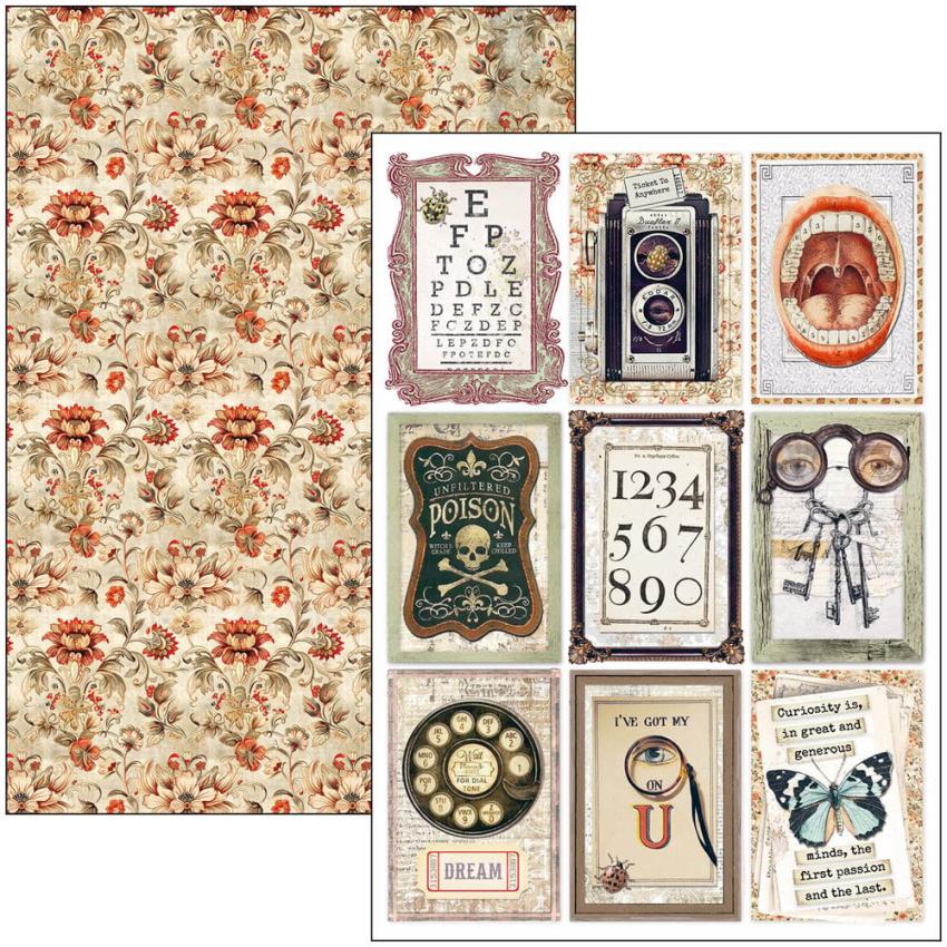 Ciao Bella - Stanzteile "Cabinet of Curiosities" Creative Pad A4 - 9 Bogen