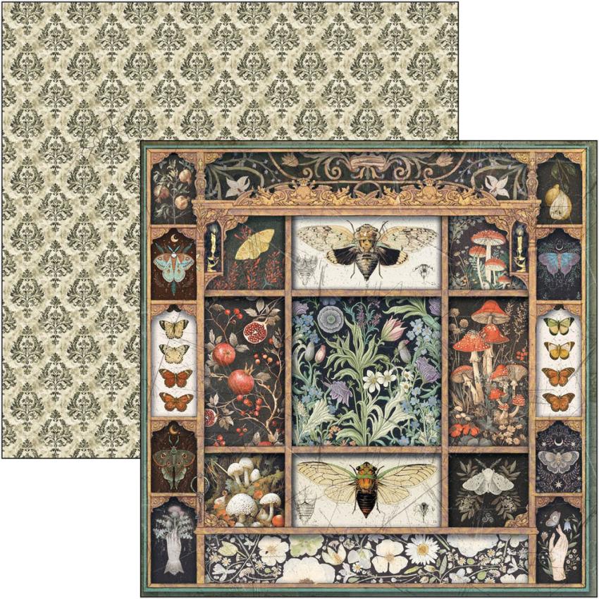 Ciao Bella - Designpapier "Cabinet of Curiosities" Paper Pack 8x8 Inch - 12 Bogen