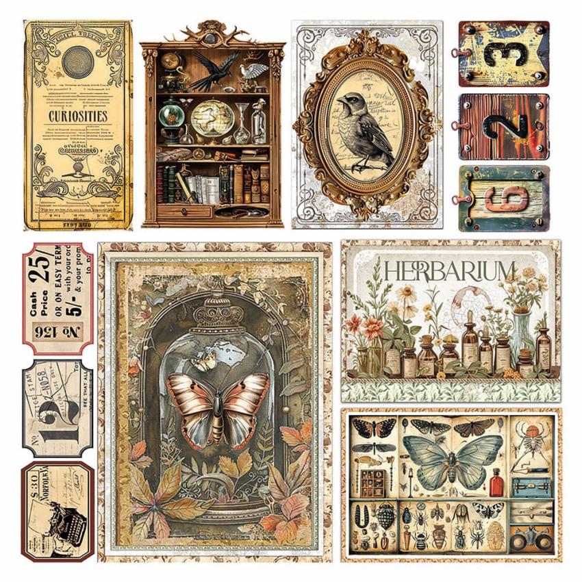 Ciao Bella - Pergamentpapier "Cabinet of Curiosities" Vellum 6x6 Inch - 6 Bogen