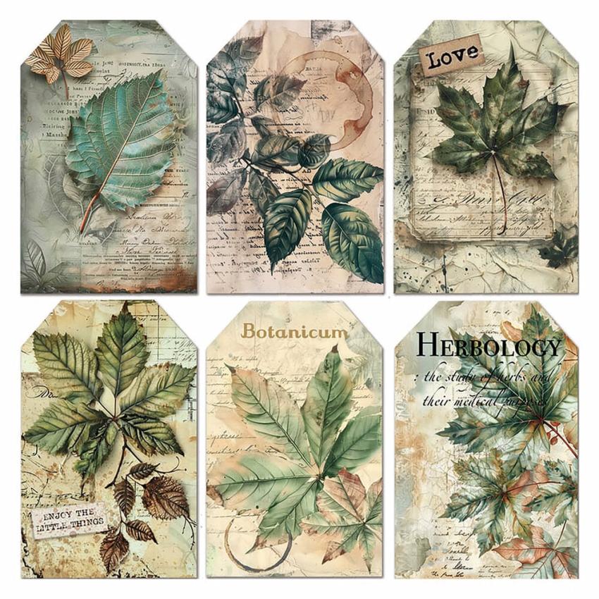 Ciao Bella - Pergamentpapier "Cabinet of Curiosities" Vellum 6x6 Inch - 6 Bogen