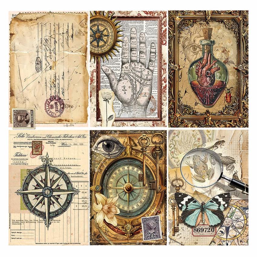 Ciao Bella - Pergamentpapier "Cabinet of Curiosities" Vellum 6x6 Inch - 6 Bogen